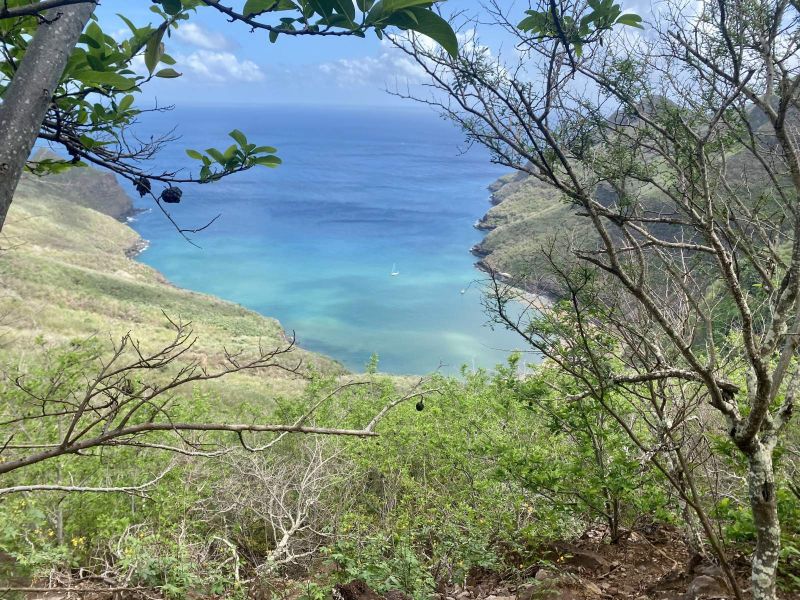 Eaux turquoise d'une baie de Nuku Hiva vues à travers la végétation, à Vaituha