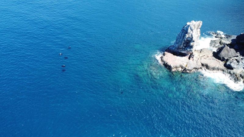 Raies manta près d'un rocher au large de Ua Pou, vue du drone